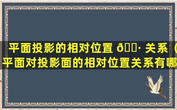 平面投影的相对位置 🌷 关系（平面对投影面的相对位置关系有哪 🐒 三种）